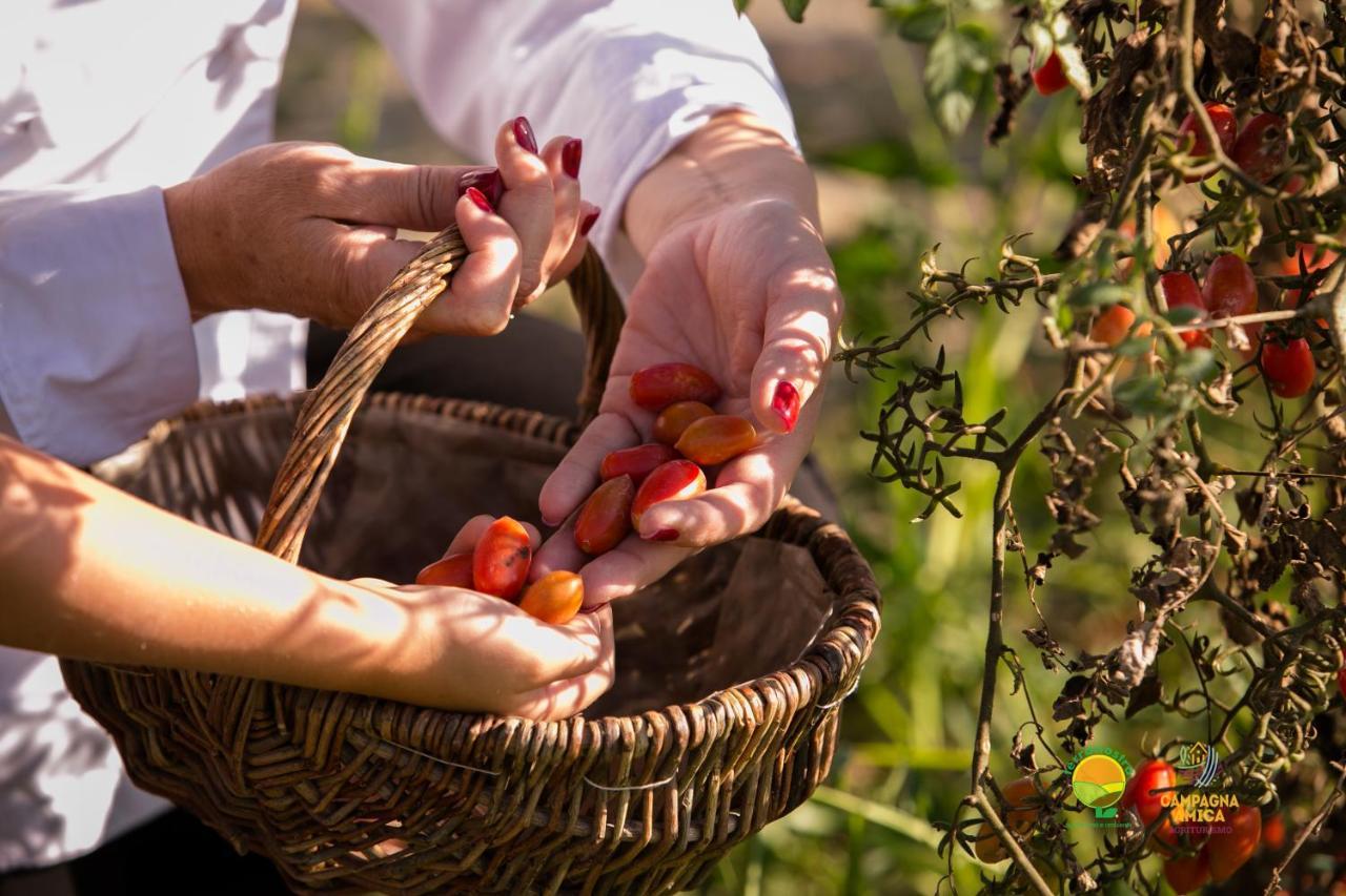 Agriturismo Ai Carpini Villa Marcon Eksteriør billede