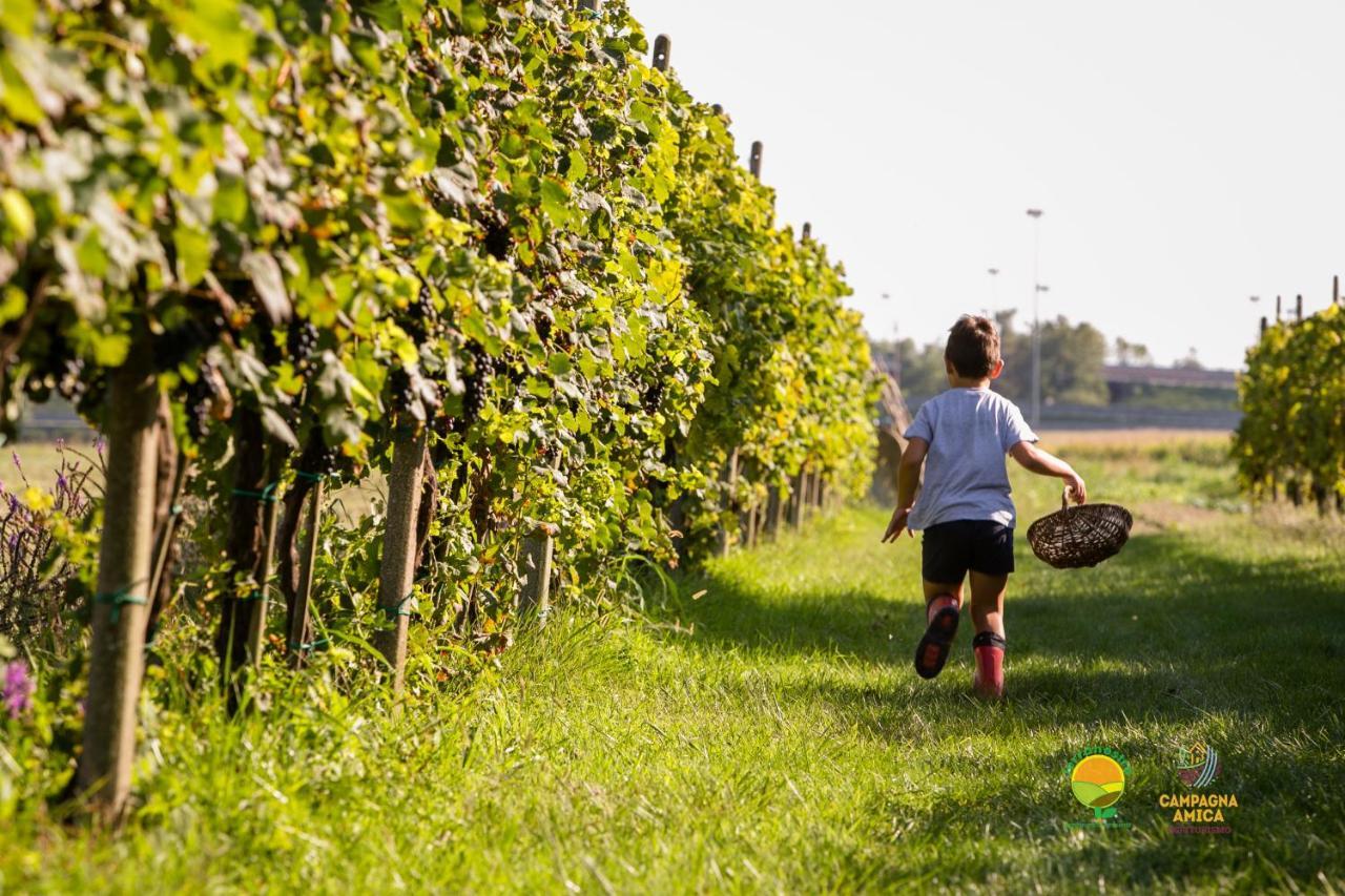 Agriturismo Ai Carpini Marcon Eksteriør billede